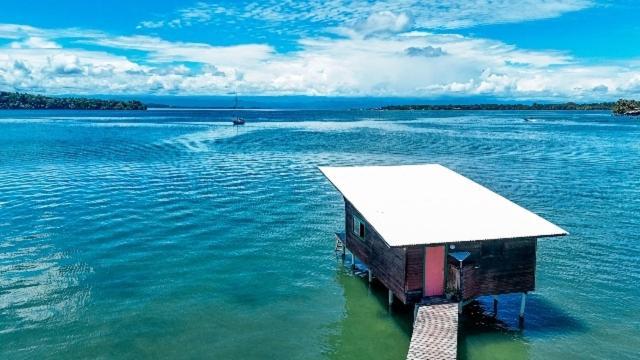 Hotel The Sea Monkey Bocas del Toro Exteriér fotografie